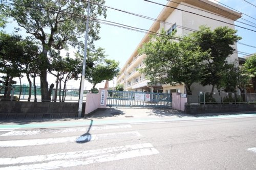 【中学校】鹿児島市立紫原中学校まで1245ｍ