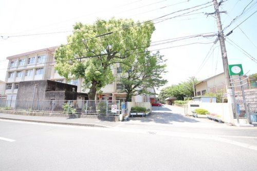 【中学校】鹿児島市立桜丘中学校まで2643ｍ