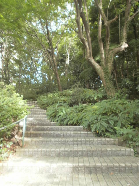 【公園】えびね公園まで40ｍ