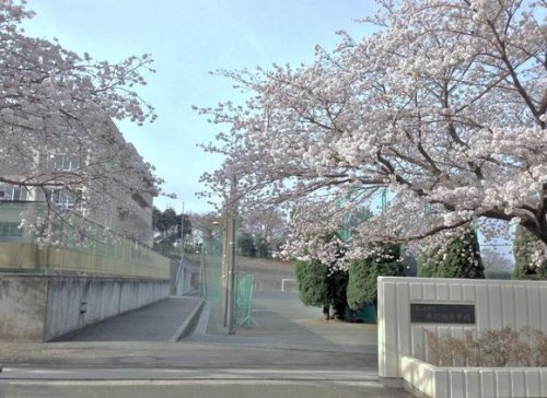 【中学校】茅ヶ崎市立赤羽根中学校まで1505ｍ