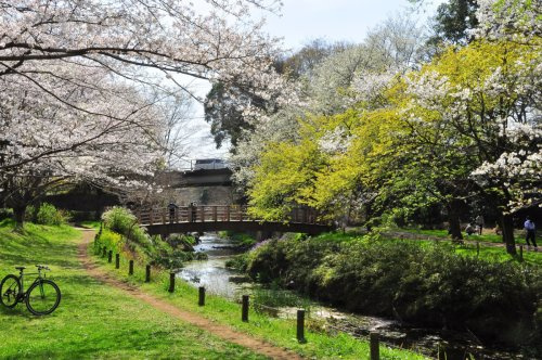 【公園】引地川公園ふれあいの森まで690ｍ