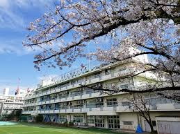 【小学校】港区立青南小学校まで535ｍ