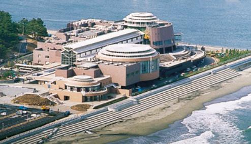 【水族館】アクアワールド茨城県大洗水族館まで9513ｍ