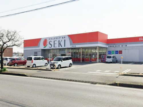 【ドラッグストア】ドラッグストアセキ　上柴店まで620ｍ