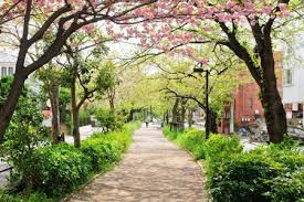 【公園】呑川緑道まで530ｍ