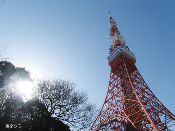 【その他】東京タワーまで1211ｍ