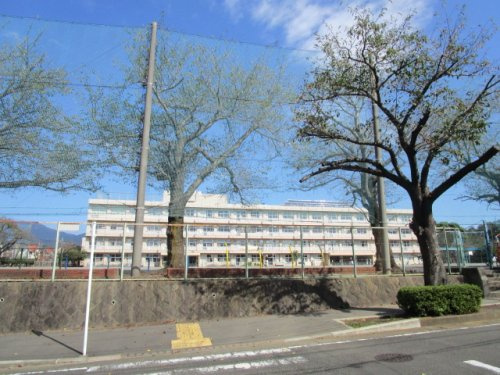 【小学校】秦野市立南が丘小学校まで486ｍ