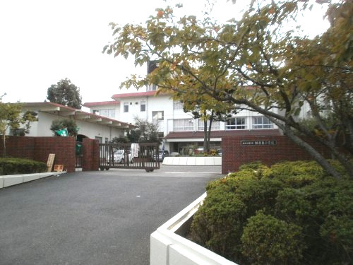 【小学校】近江八幡市立桐原東小学校まで918ｍ