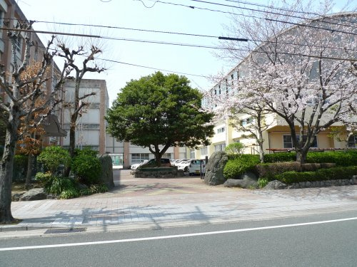【中学校】城南中学校まで745ｍ