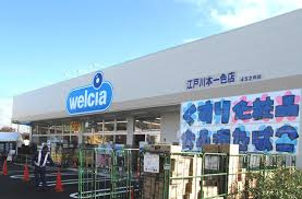 【ドラッグストア】ウエルシア江戸川本一色店まで1127ｍ