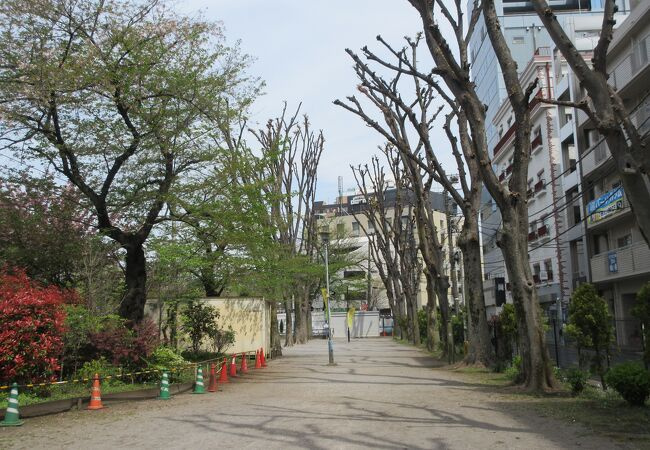 【公園】神宮通公園まで732ｍ