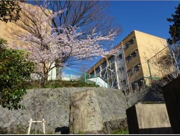 【中学校】西宮市立苦楽園中学校まで773ｍ