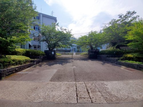 【中学校】静岡市立清水興津中学校まで1145ｍ
