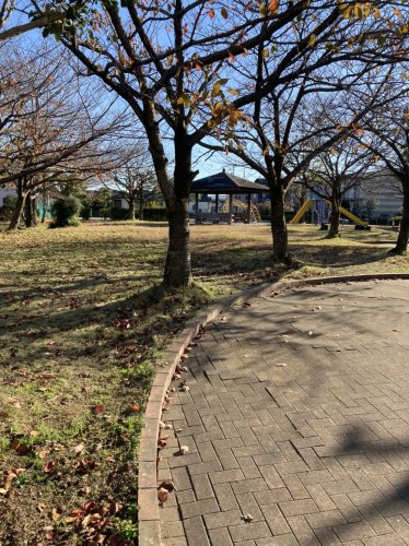 【公園】高橋公園まで1575ｍ