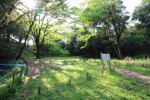 【公園】たちばなふれあいの森まで947ｍ
