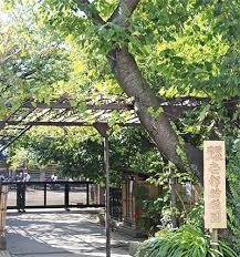 【幼稚園】安部幼稚園まで632ｍ