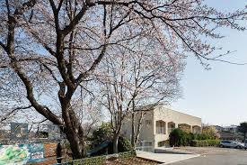 【幼稚園】幼保連携型認定こども園南幼稚園まで1503ｍ