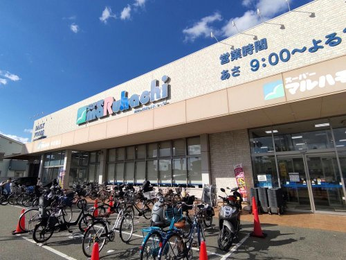 【スーパー】スーパーマルハチ　甲武橋店まで741ｍ