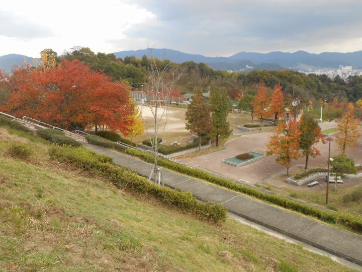 【公園】竜王公園まで2307ｍ
