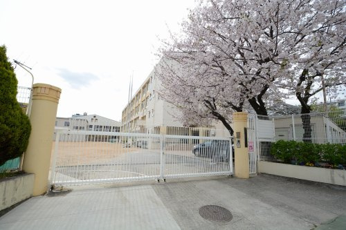 【小学校】神戸市西灘小学校まで306ｍ