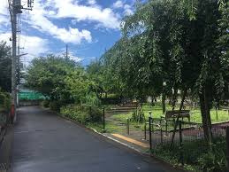 【公園】杉並区立まつぼっくり緑地まで452ｍ