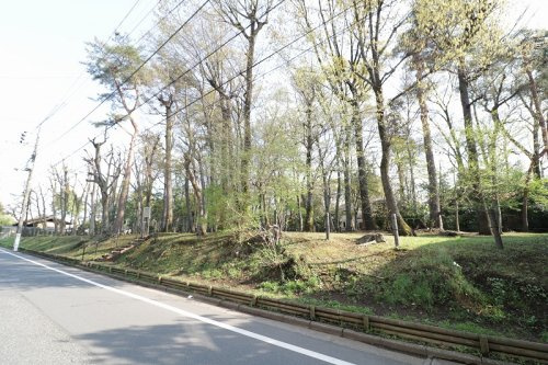 【公園】井頭憩いの森まで920ｍ