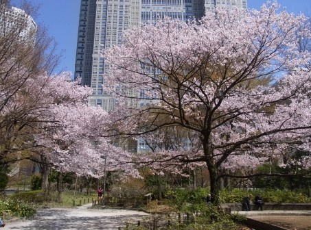 【公園】新宿中央公園まで1137ｍ