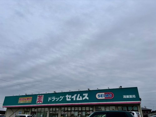 【ドラッグストア】ドラッグセイムス　鴻巣店まで325ｍ