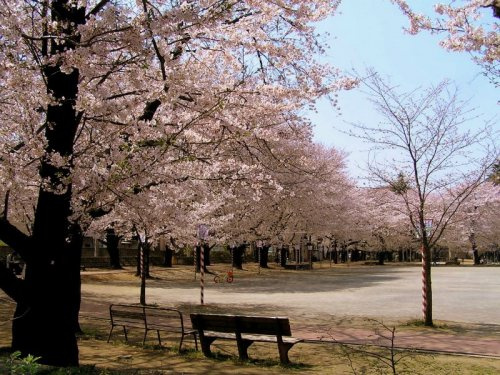 【公園】鴻巣公園まで1200ｍ