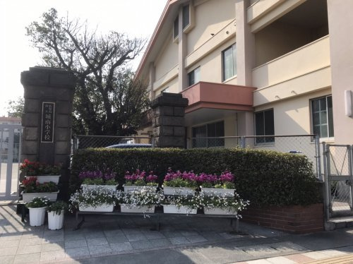 【小学校】城南小学校まで145ｍ