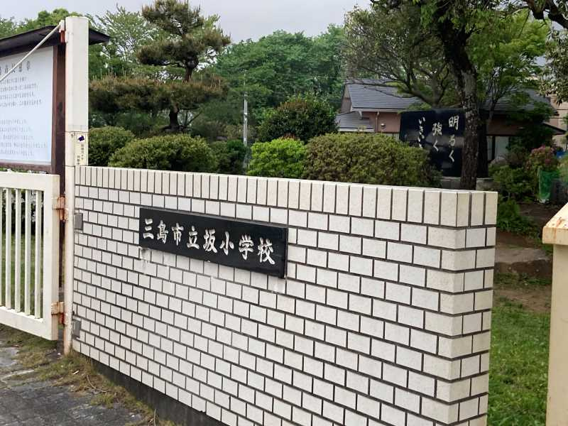 【小学校】三島市立坂小学校まで643ｍ
