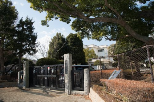 【小学校】平塚市立旭小学校まで272ｍ