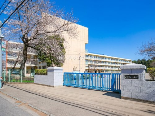 【小学校】所沢市立林小学校まで831ｍ