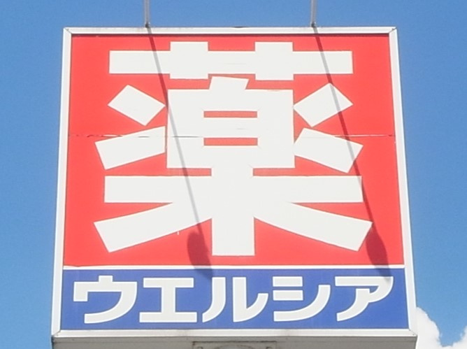 【ドラッグストア】ウエルシア沼田バイパス店まで416ｍ