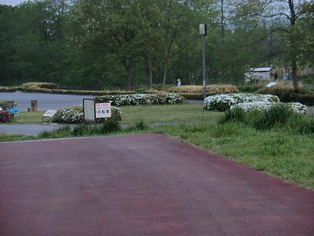 【公園】多摩川中央公園まで1273ｍ