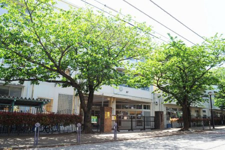 【小学校】南台小学校まで713ｍ