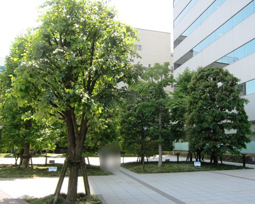 【公園】西新宿プライムスクエア公開空地まで506ｍ