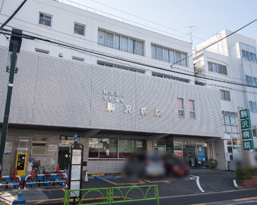 【総合病院】駒沢病院まで251ｍ