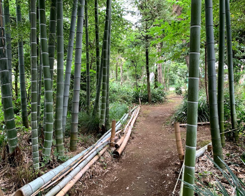 【公園】松之木都市林まで548ｍ