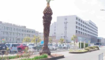 【介護】医療法人徳洲会岸和田徳洲会病院まで239ｍ