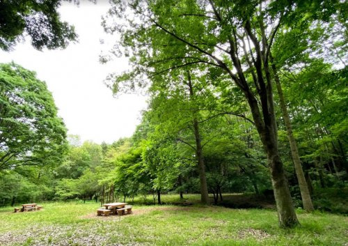 【公園】町田市立忠生公園まで750ｍ
