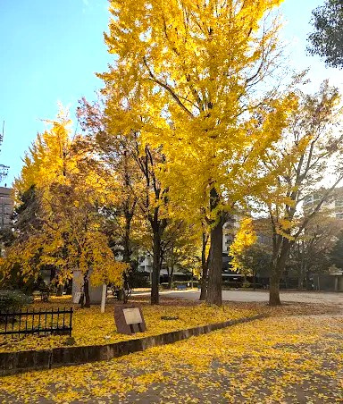 【公園】主税町公園まで652ｍ
