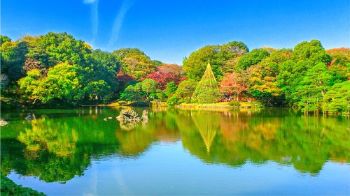 【公園】六義園まで610ｍ