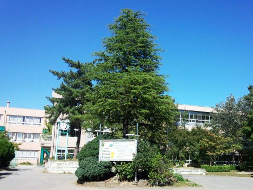 【中学校】草加市立栄中学校まで1314ｍ