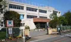 【小学校】柏市立花野井小学校まで1240ｍ