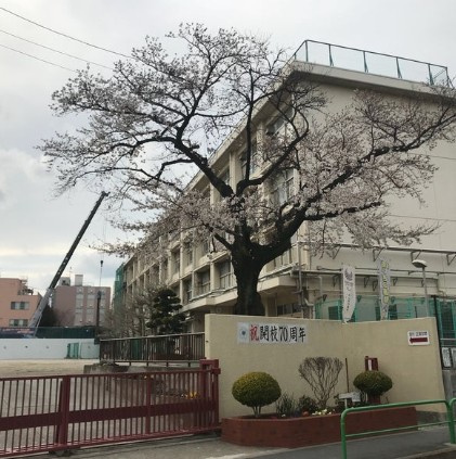 【中学校】練馬区立石神井東中学校まで868ｍ