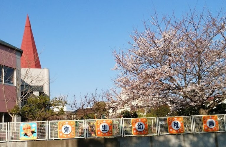 【幼稚園】弥生幼稚園まで780ｍ