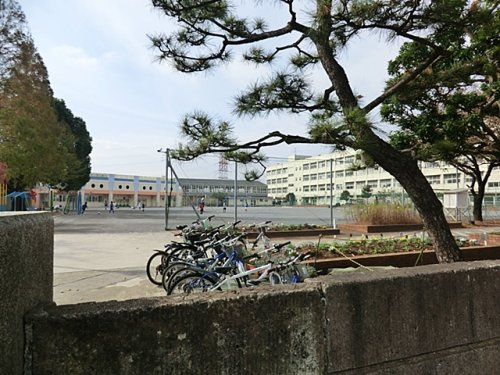 【小学校】横浜市立東希望が丘小学校まで571ｍ