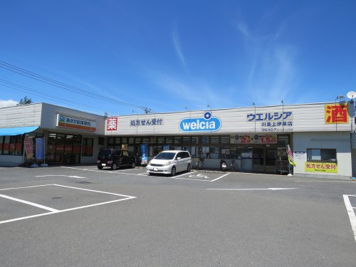 【ドラッグストア】ウエルシア川島上伊草店まで2159ｍ