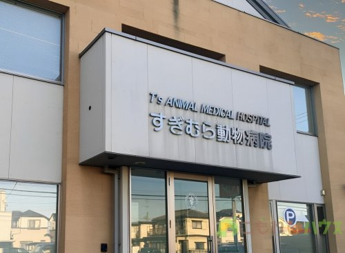 【動物病院】すぎむら動物病院T’sANIMALMEDICALHOSPITALまで1105ｍ
